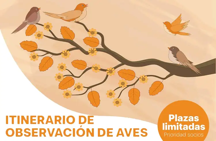 observatorio de aves