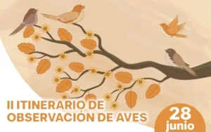 aves