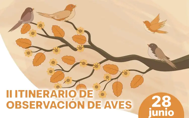 aves